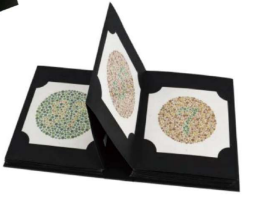 Ishihara Test