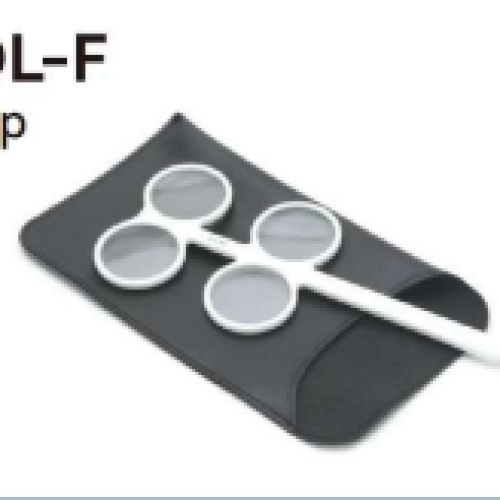 DL-F Flip